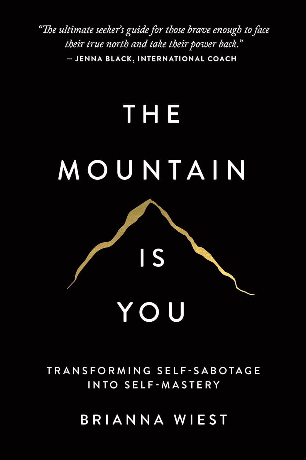 Cover of The Mountain Is You by Brianna Wiest